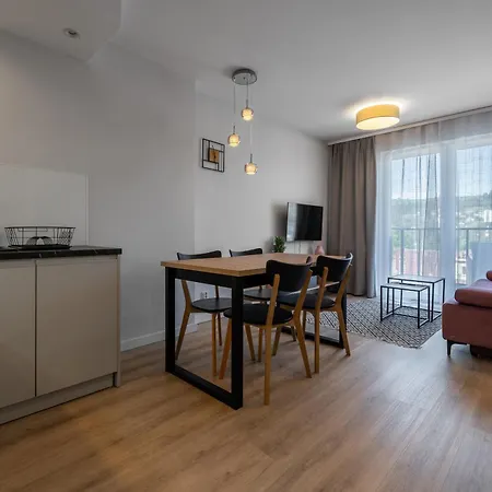 425 - Zakopianski - Sauna & Jacuzzi & Plac Zabaw & Silownia 扎科帕内